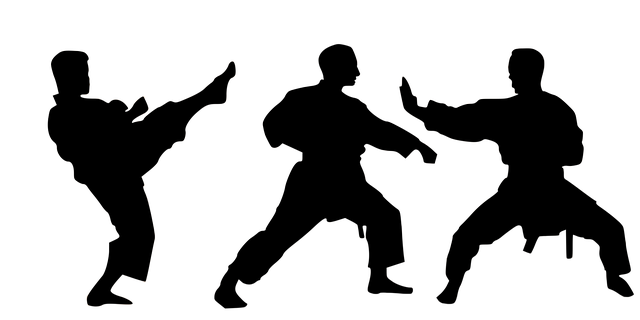 Kaiyun擊劍培訓(xùn)